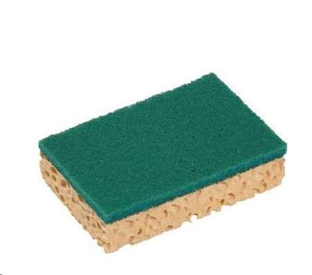 Image de EPONGE DOS VERT