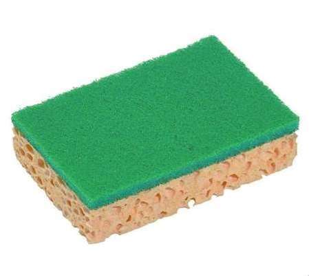 Image de EPONGE DOS VERT A