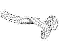 Image de FLEXIBLE ASPIRATION 600MM POUR 244NX