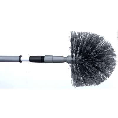 Image de TETE DE LOUP + PERCHE