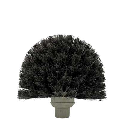 Image de TETE DE LOUP DV