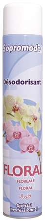 Image de DESODORISANT FLORAL 750ML